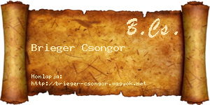 Brieger Csongor névjegykártya
